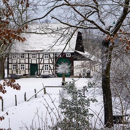 Suffelmuehle Villa Bad Driburg Luaran gambar